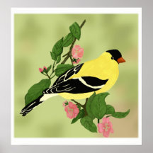 Söt Little Goldfinch Bird