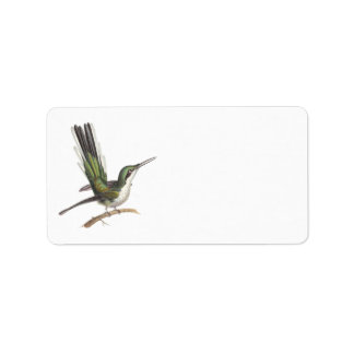 Söt Little Grönt Hummingbird by Rene Lesson Adressetikett