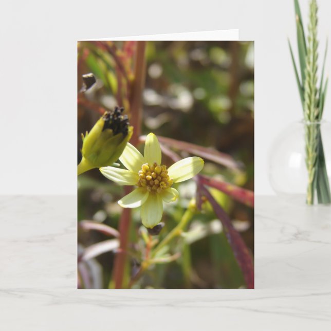 Söt Little Gult Flower Kort (Framsida)