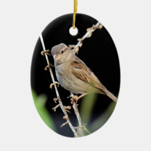Söt Little Sparrow Julgransprydnad Keramik
