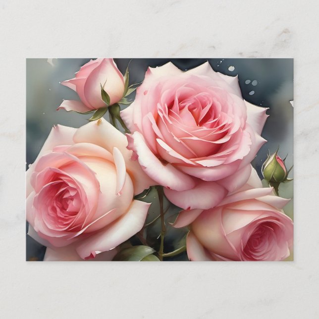 Söt ljus rosa ro, färgmålning av trädgårdsträdor vykort (Framsida)