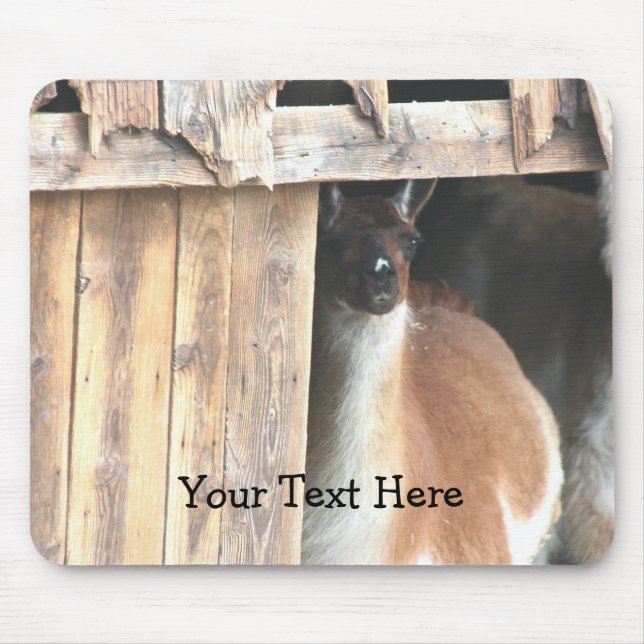 Söt Llama Farm Animal Mousepad Musmatta (Framsidan)