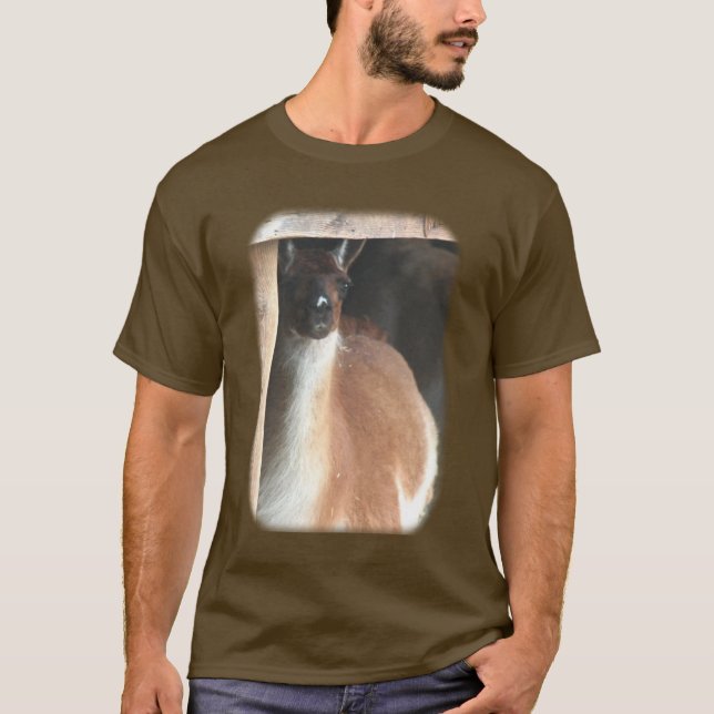 Söt Llama Farm Animal T Shirt (Framsida)