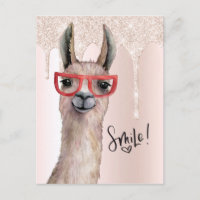 Söt Llama Tjejaktig Rosa Glitter Tänker På Dig
