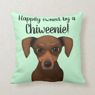 Söt Lyckligt Ägd Chiweenie Chihuahua Dachshund Kudde