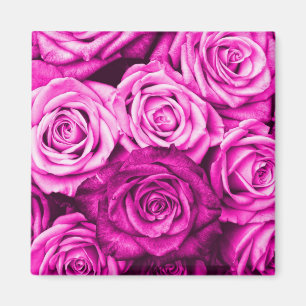 Söt Magenta Rosa ros Flower Bouquet Magnet
