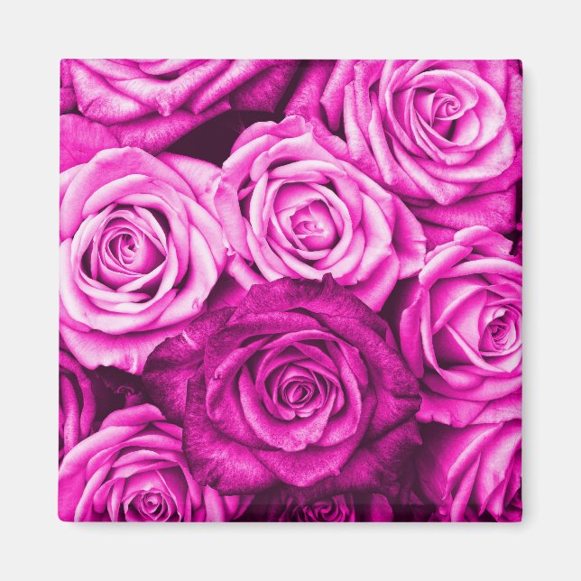 Söt Magenta Rosa ros Flower Bouquet Magnet (Framsidan)