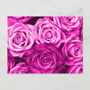 Söt Magenta Rosa ros Flower Bouquet Vykort
