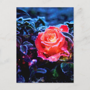 Söt Magic Frosted Rosa Fantasy Ro Garden Vykort
