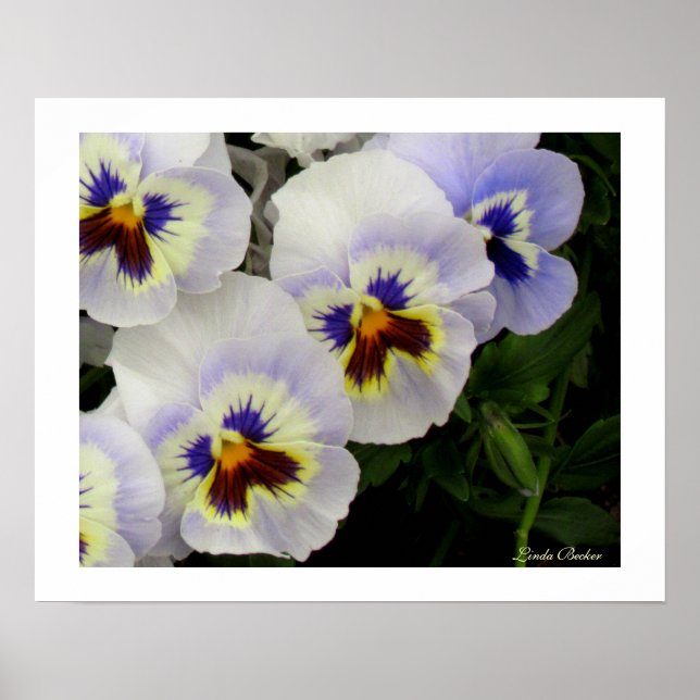 Söt Maid alla på en rad av Linda Becker Poster (Framsidan)