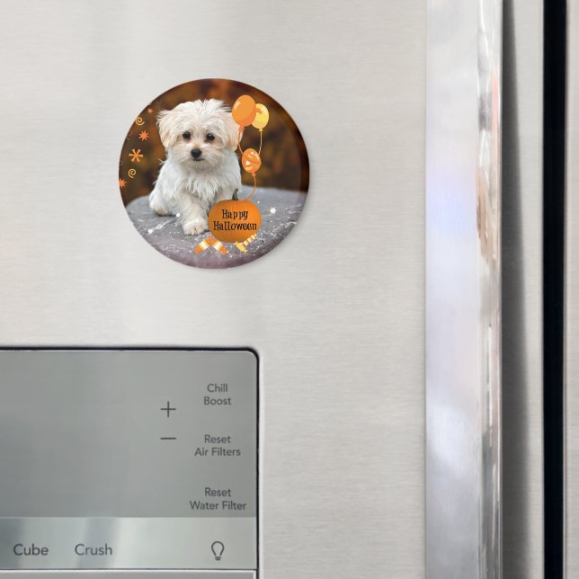 Söt malteser-valp firar Halloween  Magnet (In Situ (Fridge))