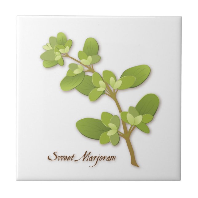 Söt Marjoram Herb Ceramic Tile Kakelplatta (Framsidan)