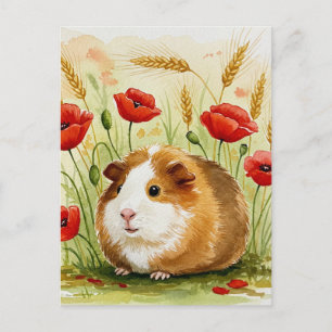 Söt Marsvin Poppy Blommor Postkort Vykort