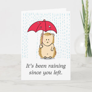 Söt men ynklig igelkott genomblöt i regnet kort