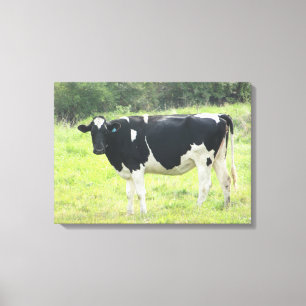 Söt mjölkko fotovägg Canvas Art