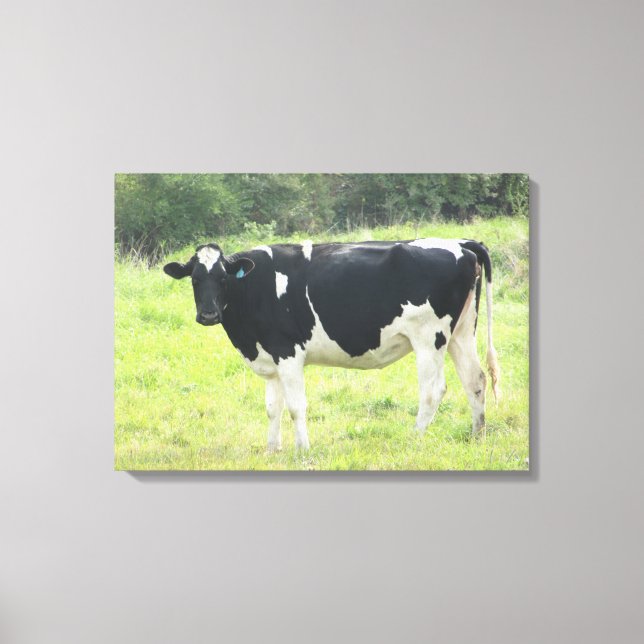 Söt mjölkko fotovägg Canvas Art (Framsida)