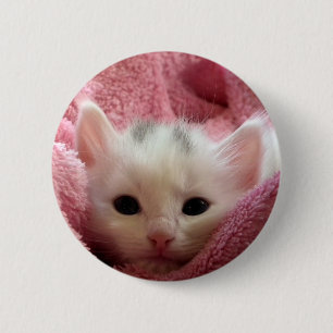 Söt mjuk kattunge knapp