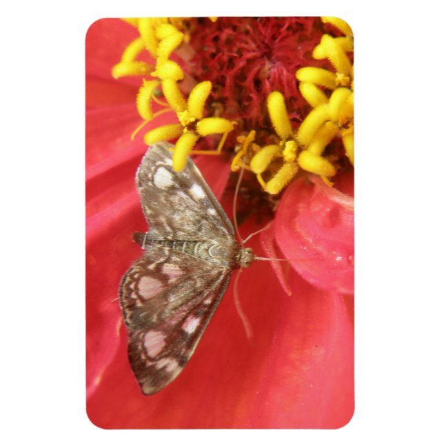 Söt Modell på Red Flower Premium Magnet (Vertikal)