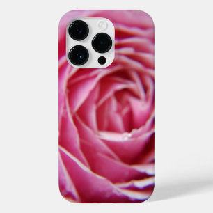 Söt Modern rosa ros nära