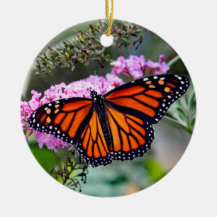 Söt Monarch Butterfly Photo Julgransprydnad Keramik