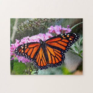 Söt Monarch Butterfly Photo Pussel