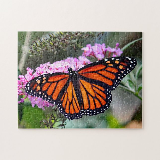 Söt Monarch Butterfly Photo Pussel (Horisontell)
