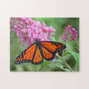 Söt Monarch Butterfly Rosa Blommigt Photo Pussel