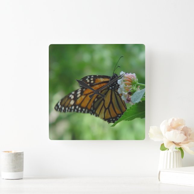 Söt, monarch Butterfly Square Wall Clock Fyrkantig Klocka (Hem)