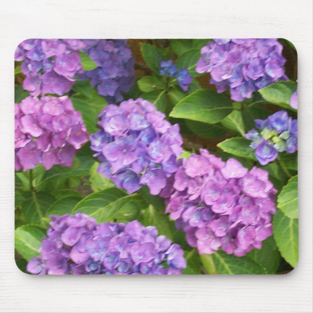Söt Mousepad, Rosa och Blue Hydrangeas Musmatta (Framsidan)