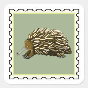 Söt myrpiggsvin australisk frimärks konst fyrkantigt klistermärke