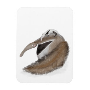 Söt myrslok och bebismagnet magnet