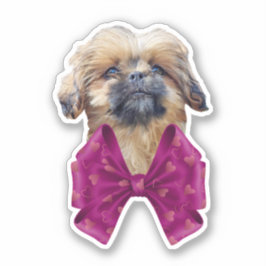 Söt Nala Shih Tzu-valp Klistermärken