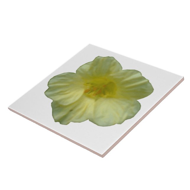 Söt Nasturtium Tile Kakelplatta (Sidan)