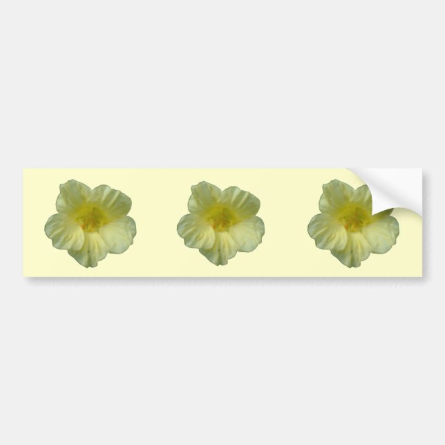 Söt Natsurtium Flower Bumper Sticker Bildekal (Framsidan)