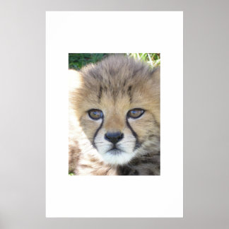 Söt november poster