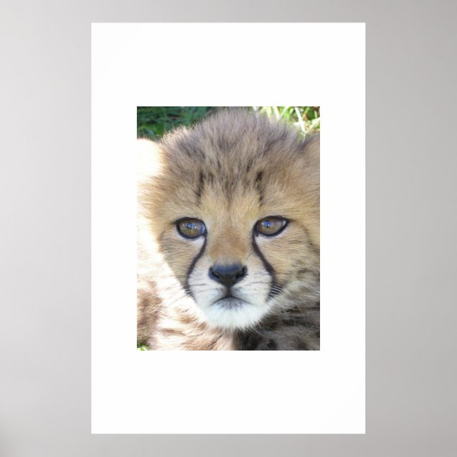 Söt november poster (Framsidan)