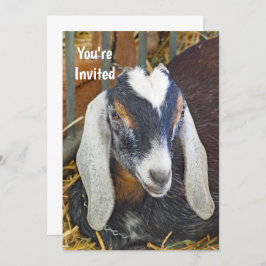 Söt Nubian Goat Photo Birthday Inbjudningar