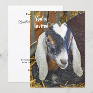 Söt Nubian Goat Photo Birthday Inbjudningar