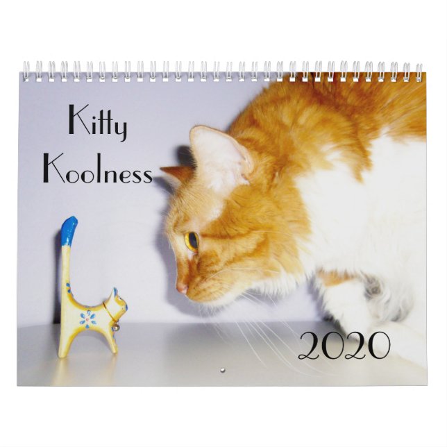 Söt och rolig "Kitty Koolness" 2024 Kattkalender Kalender (Omslag)
