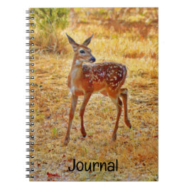 Söt och Söt Baby Hjort Fawn Journal Spiral Anteckningsbok
