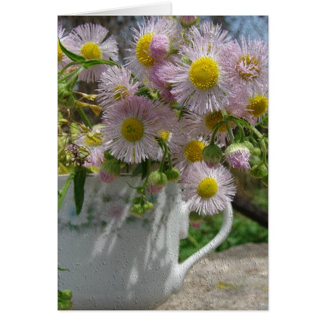 Söt Ogräs Hälsningskort (Framsidan)