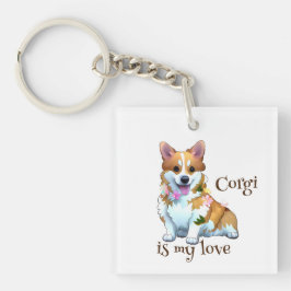 Söt orange corgi för ett positivt humör