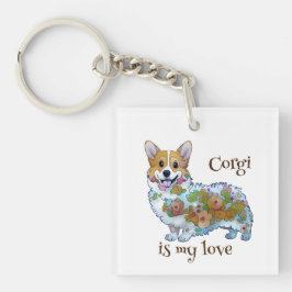Söt orange corgi för ett positivt humör