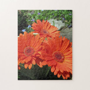 Söt Orange Daisy Flower Photo Puzzle Pussel