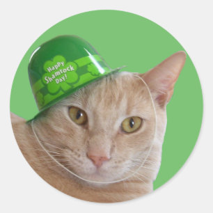 Söt orange katt som bär en grön irländsk hatt runt klistermärke