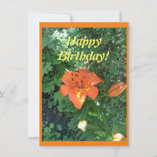 Söt orange lily Birthday Kort