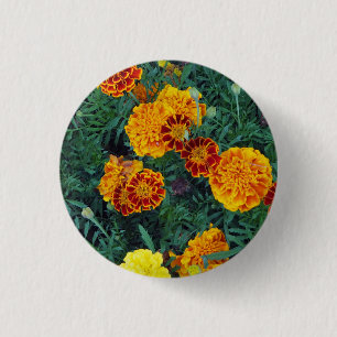 Söt Orange Marigolds Blommigt Photo Knapp