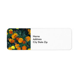 Söt Orange Marigolds Blommigt Photo Returadress Etikett