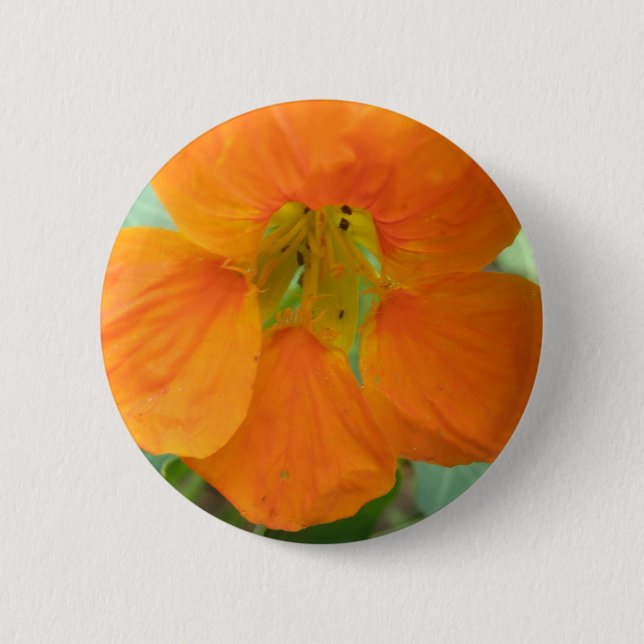 Söt Orange Nasturtium Flower Button Knapp (Framsida)