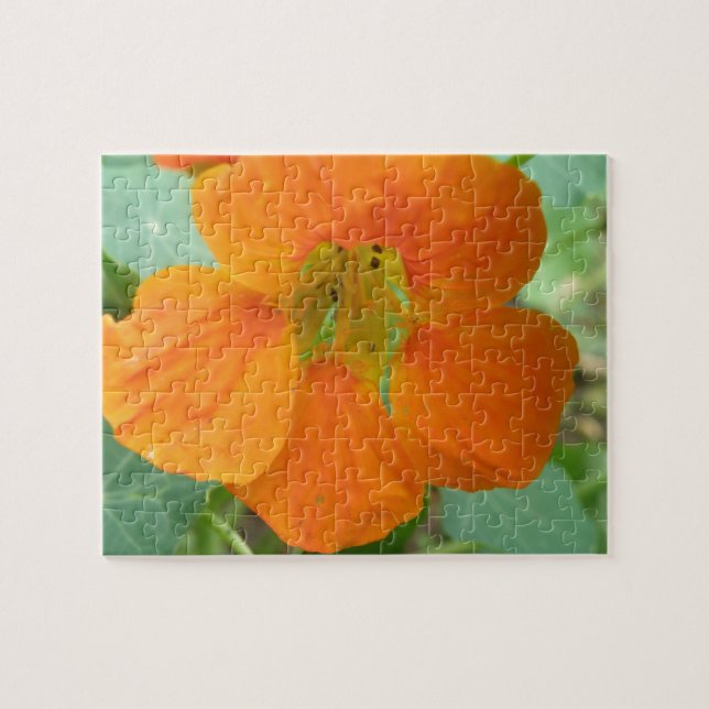 Söt Orange Nasturtium Flower Puzzle Pussel (Horisontell)
